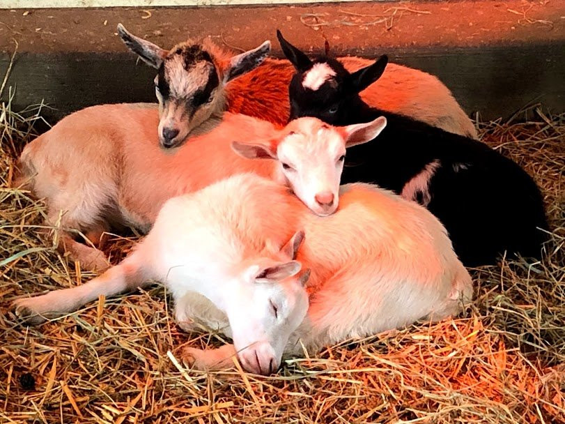 MetroParks Farm-Canfield必去景点