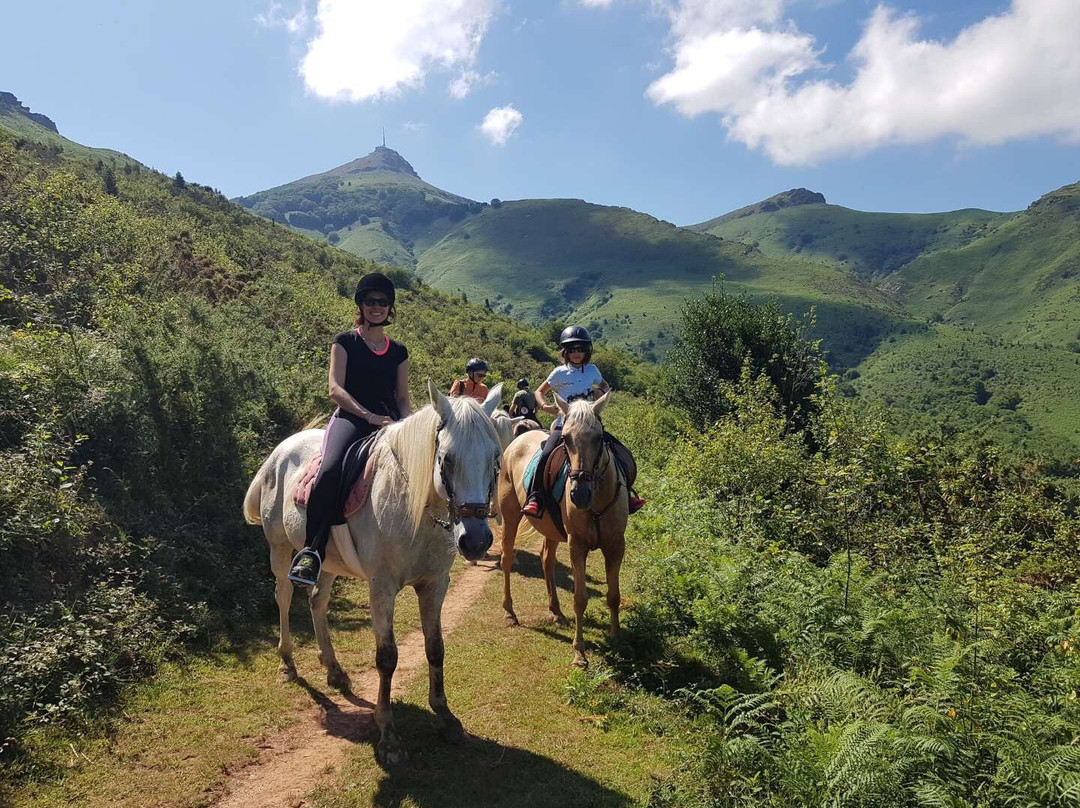 Centre de Tourisme Equestre Larrun Alde景点图片