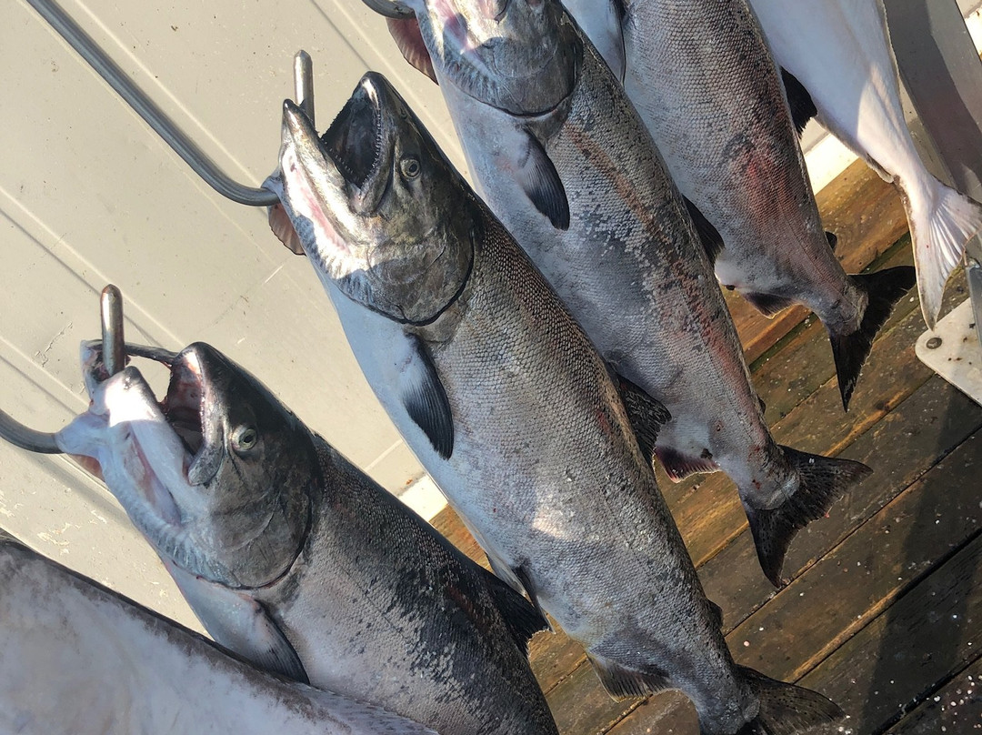 Explore Alaska Charters, LLC-凯奇坎必去景点