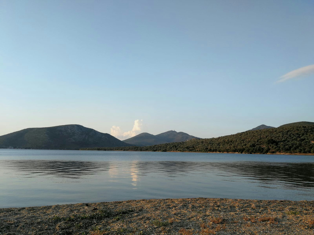 Gera's Olive Grove主图