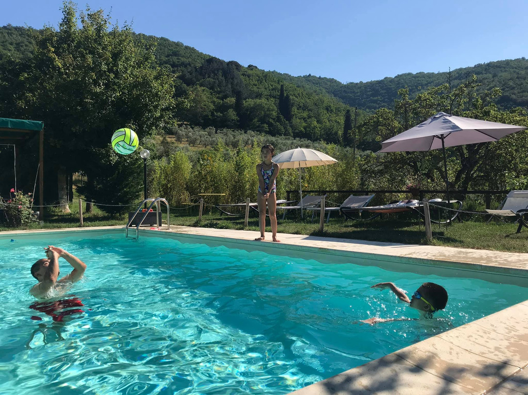 Country Room Il Moro