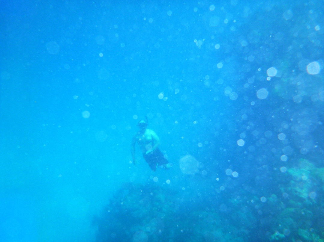 Under The Sea Charters-Somerset Village必去景点