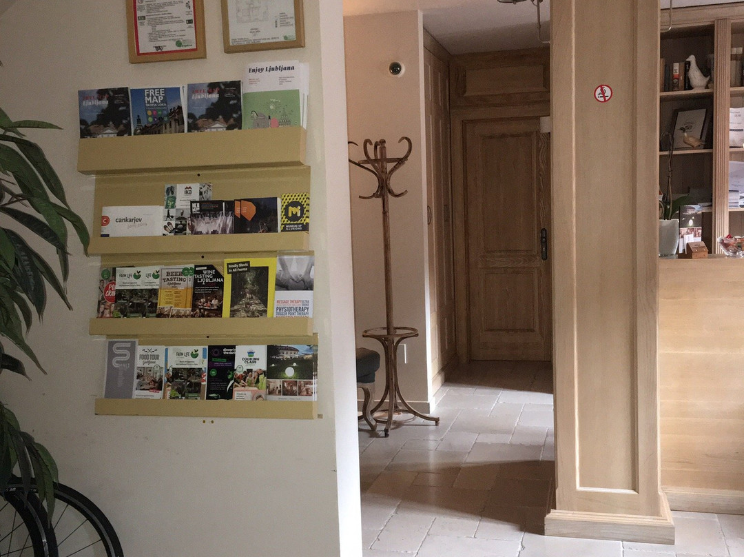 Mansion Dvor Tacen主图
