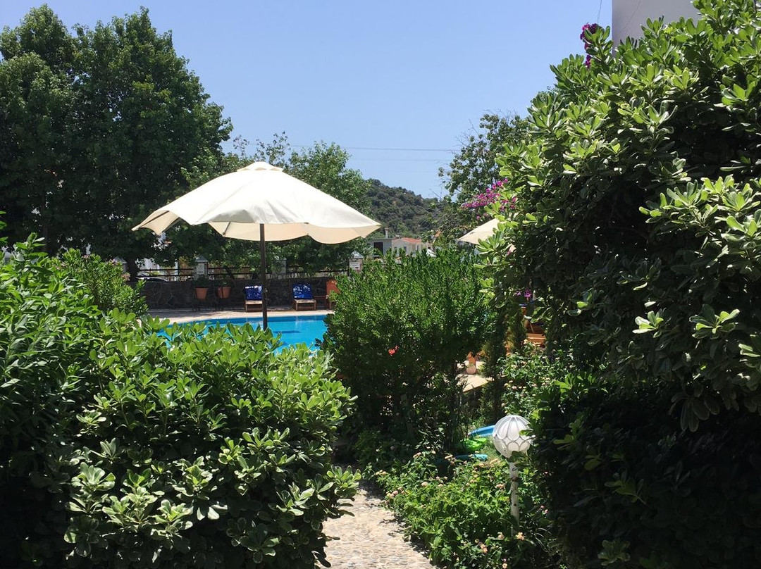 达利安巴萨尔酒店主图