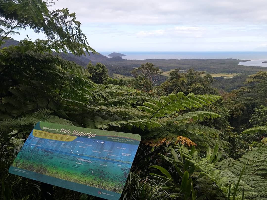 Daintree Rainforest - Cooper Creek Wilderness景点图片