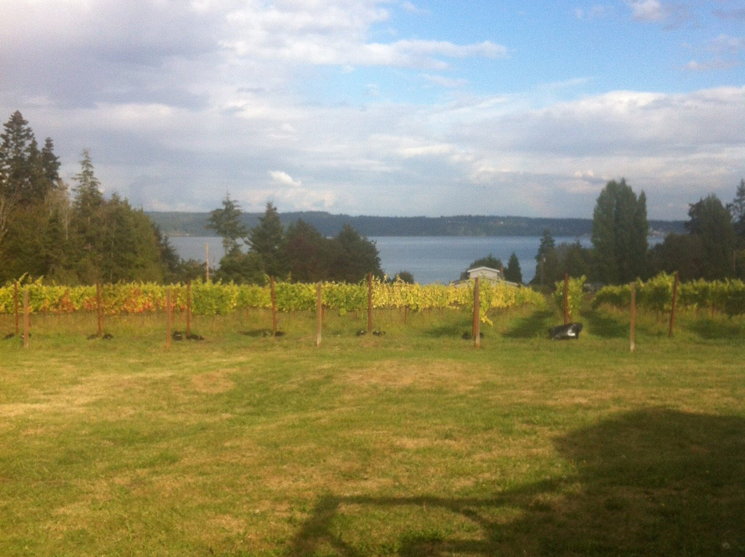 Marrowstone Vineyards