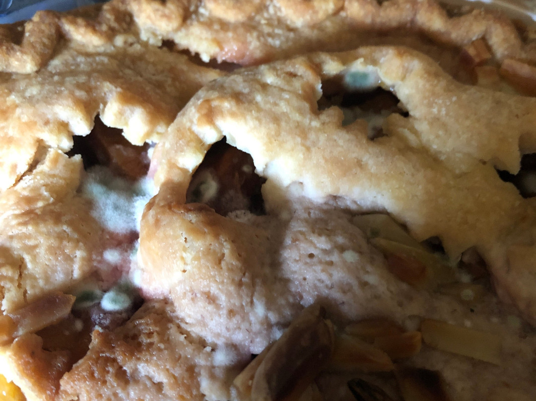 Strites Orchard-哈里斯堡必去景点