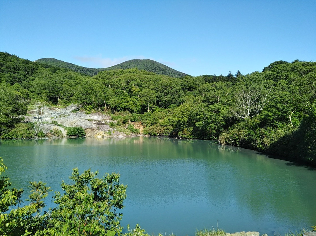 Jigoku Pond景点图片