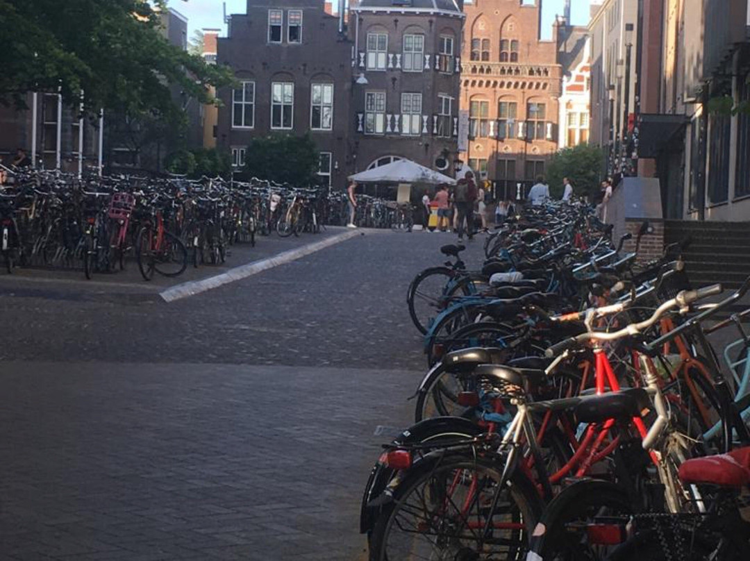 Groningen Tourist Office-格罗宁根省必去景点