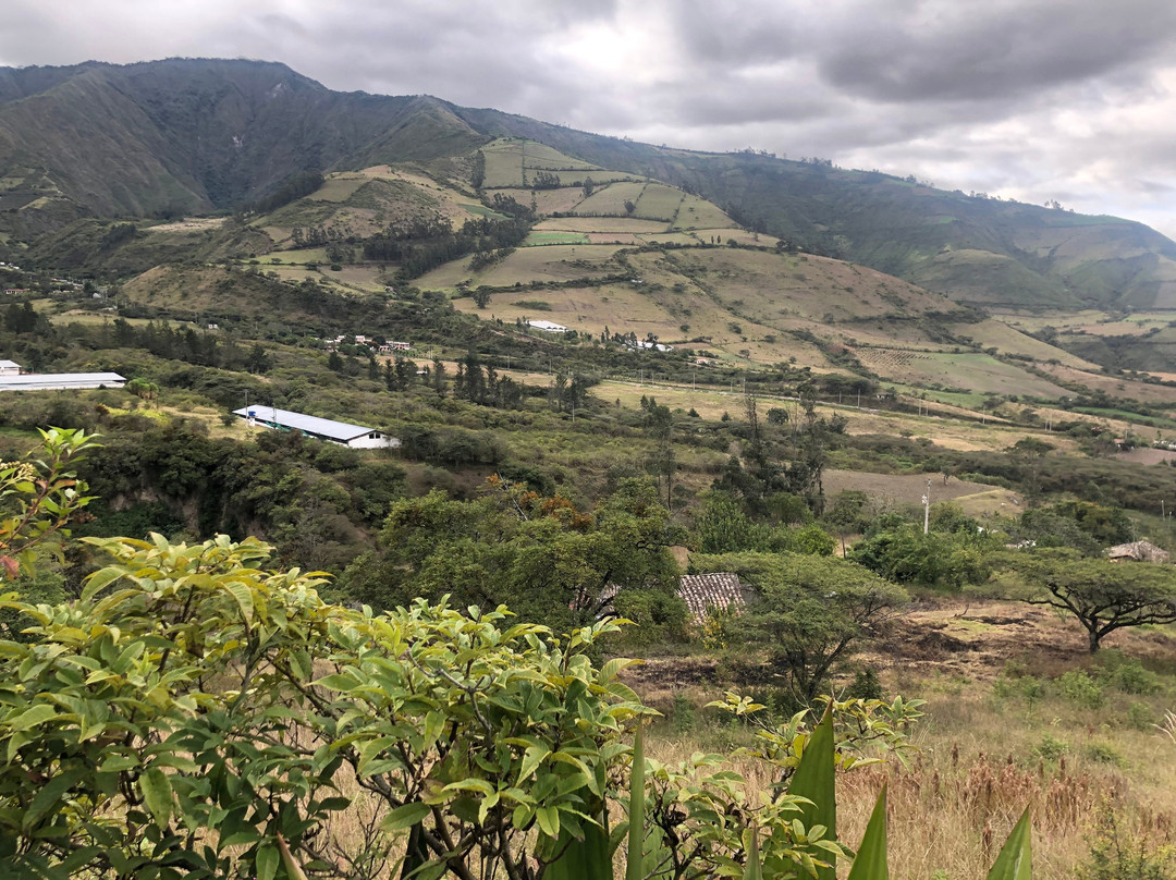 Hacienda San Francisco主图