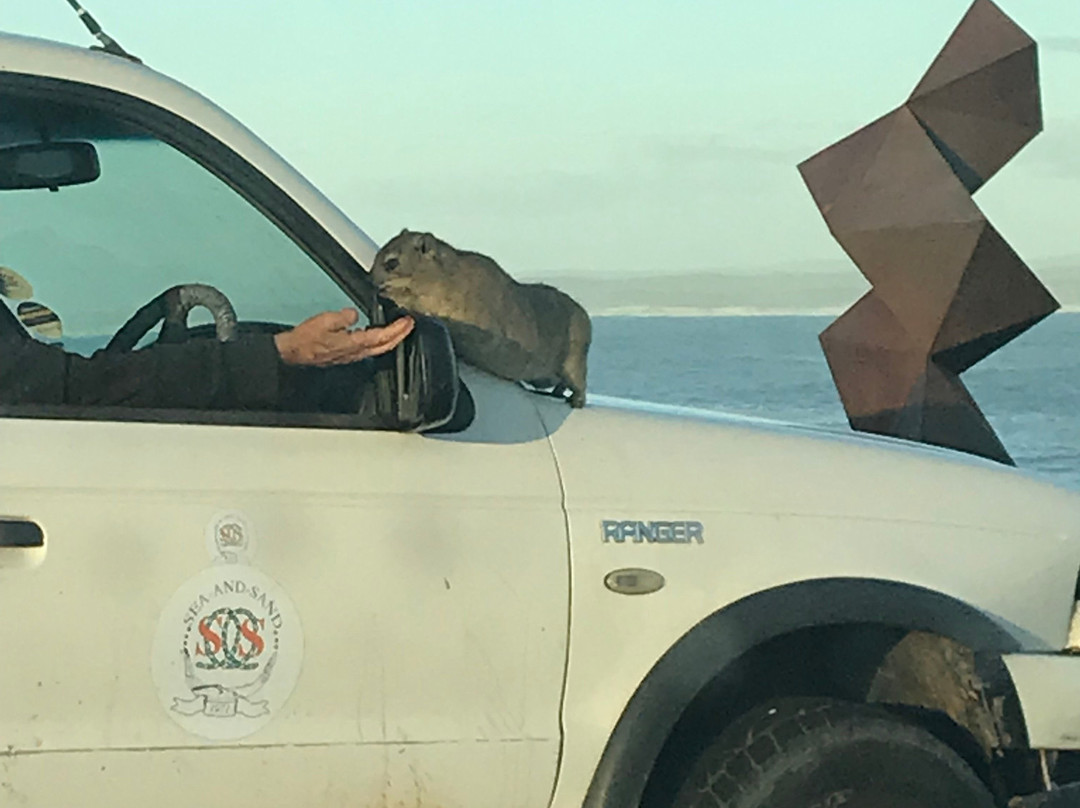 Gearing's Point-赫曼努斯必去景点