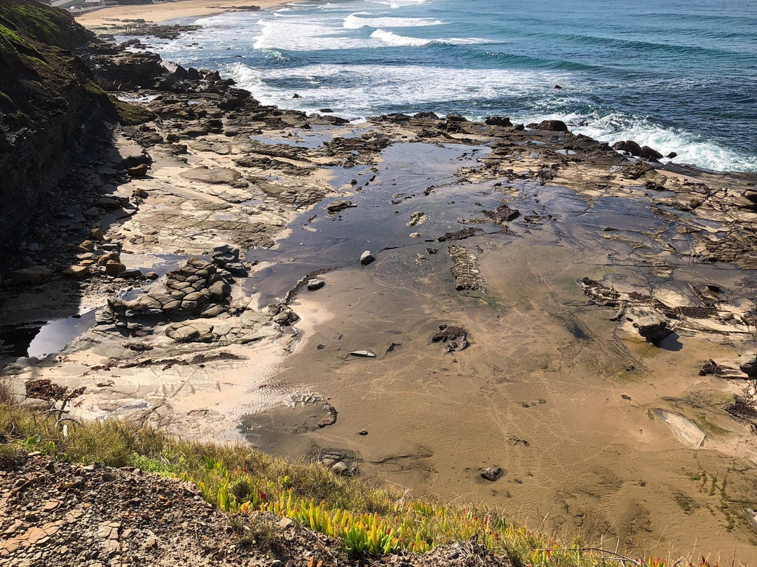 King Edward Park-纽卡斯尔必去景点