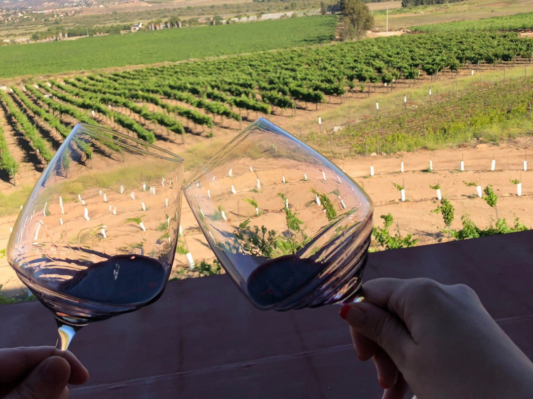 Villa Montefiori-恩塞纳达必去景点