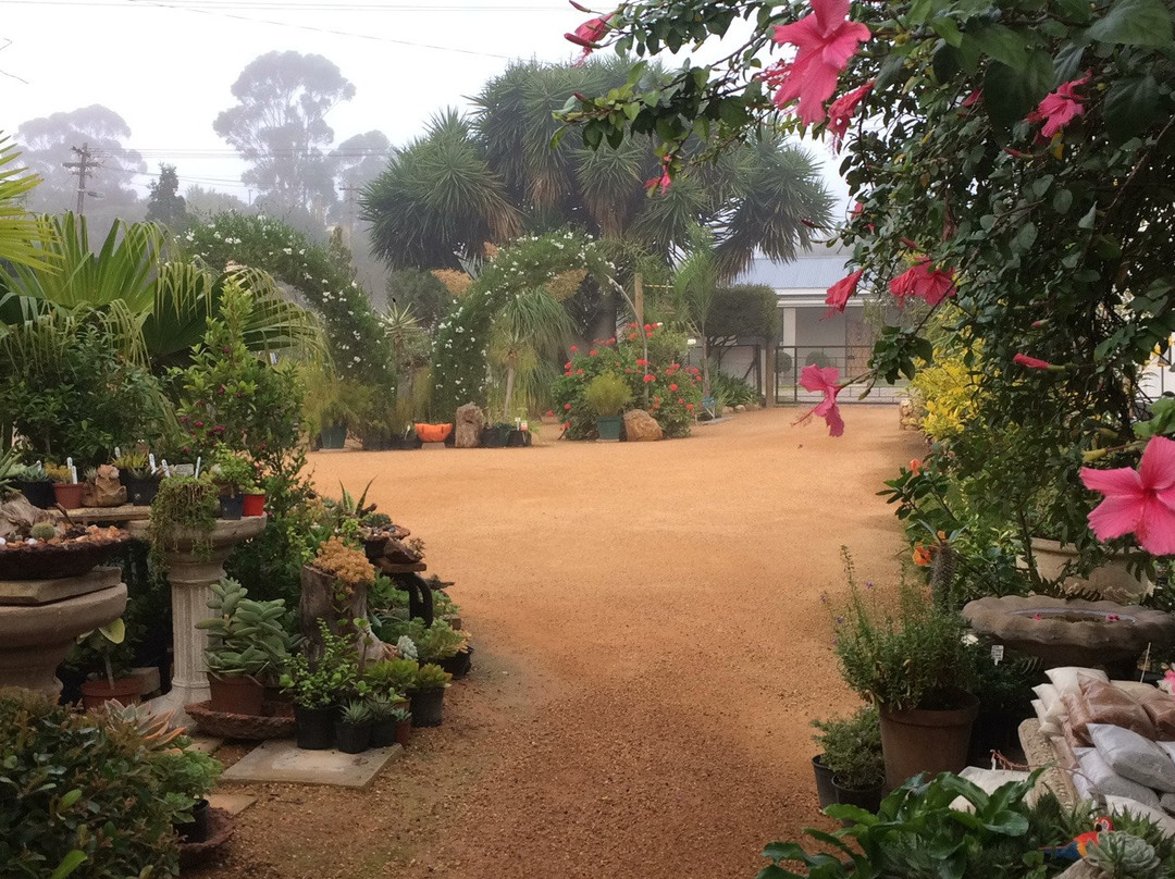 Heidelberg kwekery-Heidelberg必去景点