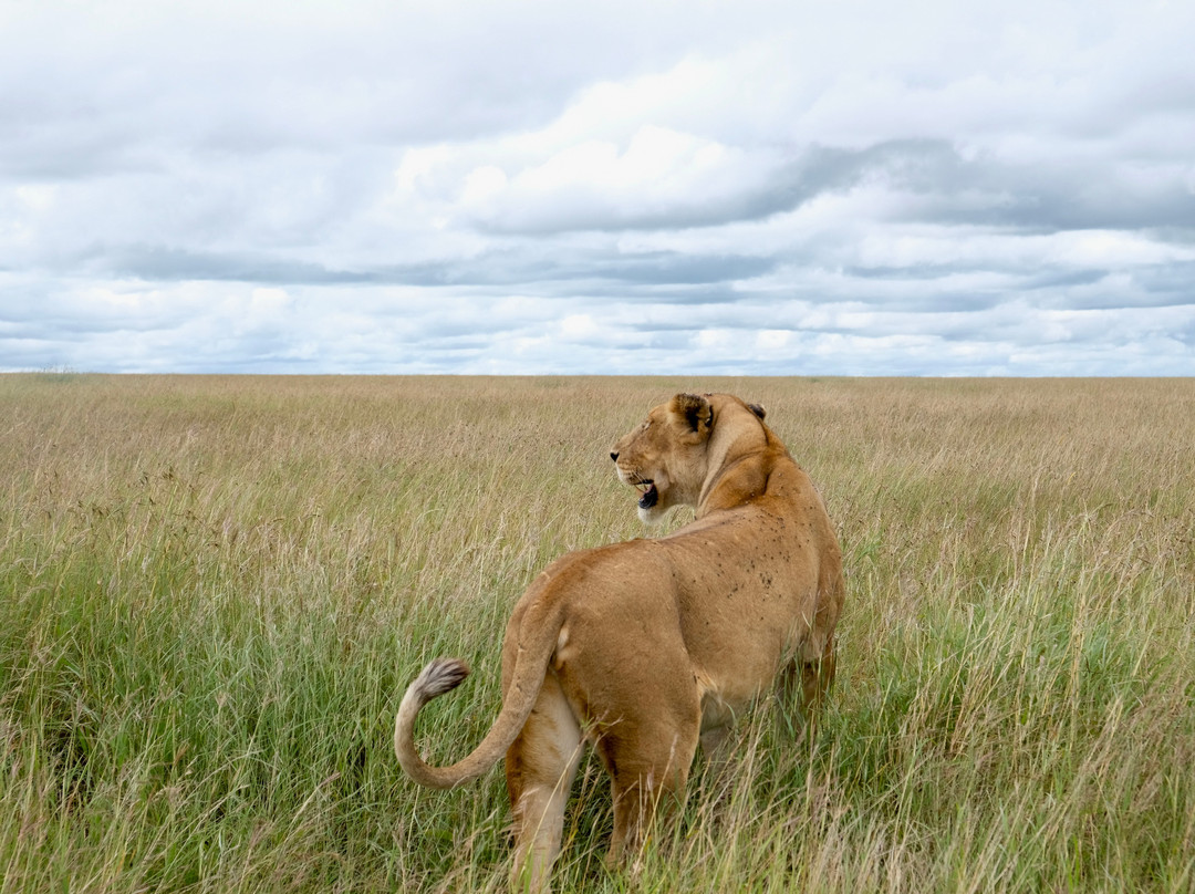Leganishu Maasai Cultural Homestay主图