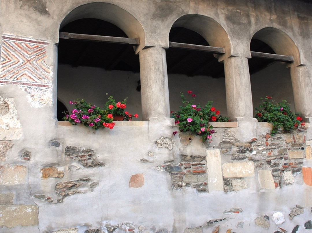 Negru Voda Monastery景点图片