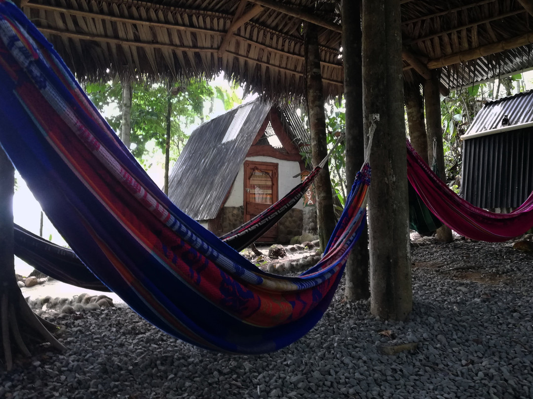 Jungle Roots Glamping