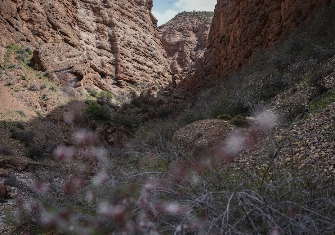 Alamut Canyon Walk景点图片