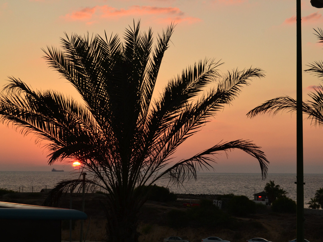 Regina Goren Hotel主图