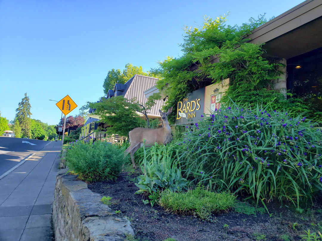 The Bard's Inn, BW Signature Collection主图