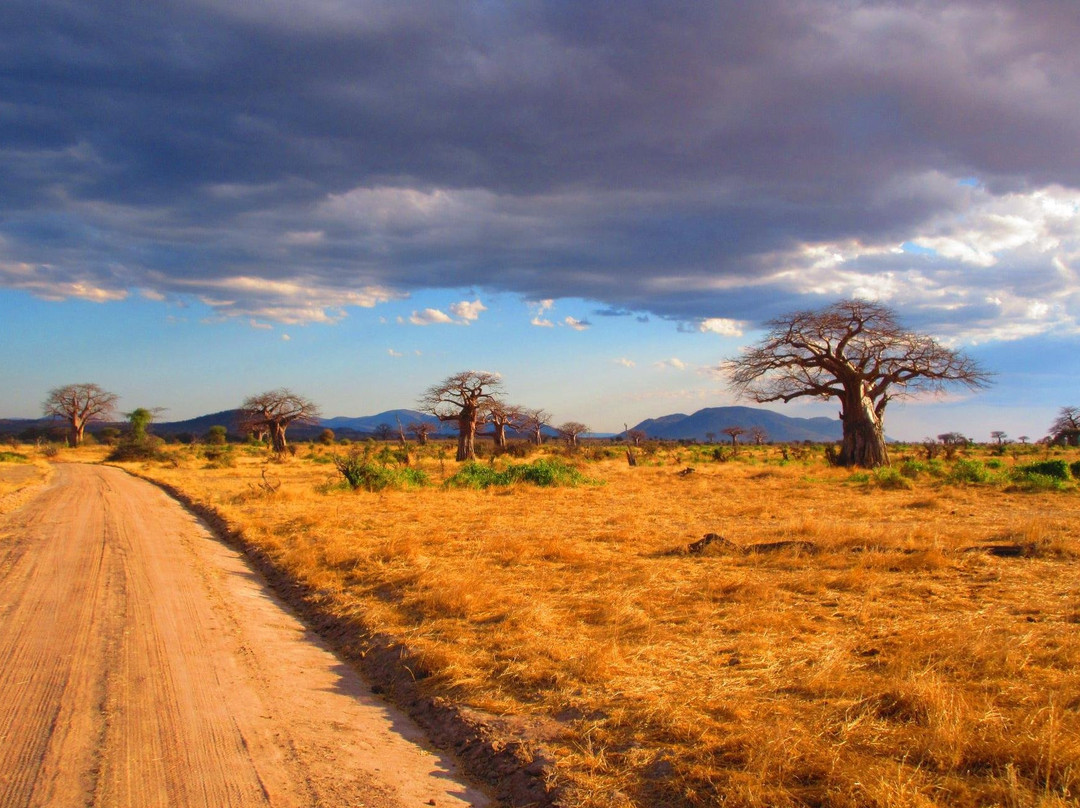 CRA Safari Tours-Iringa必去景点