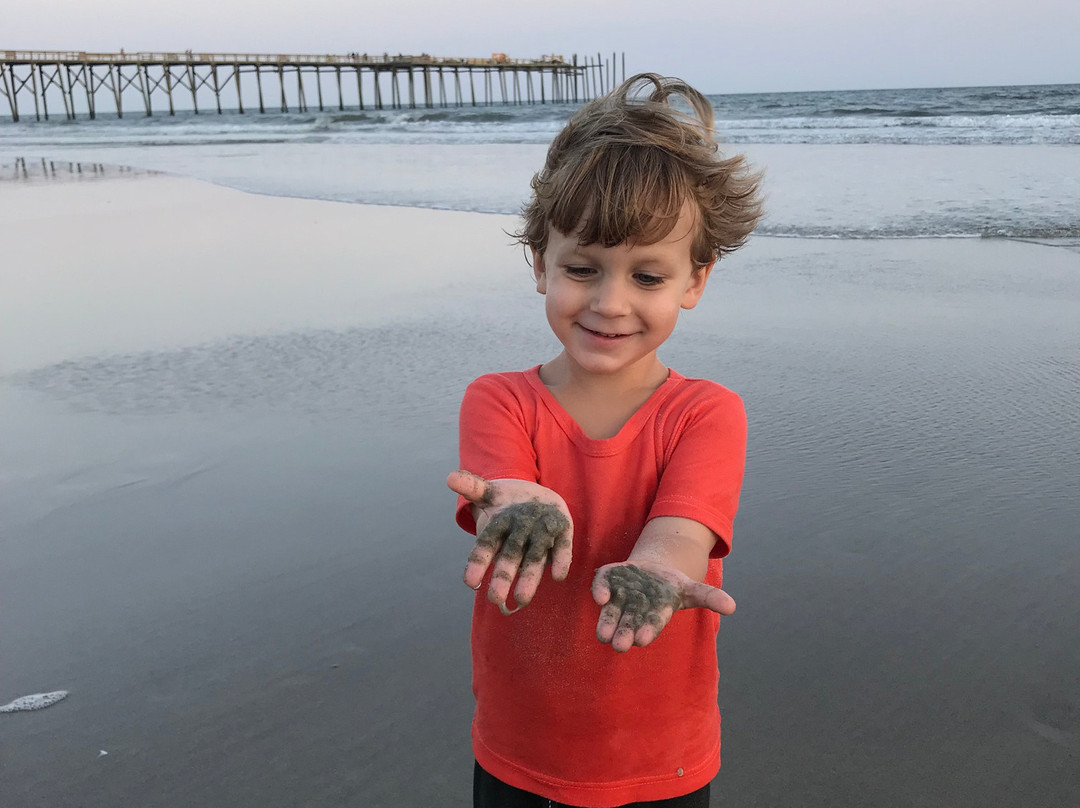 Oak Island Inn主图