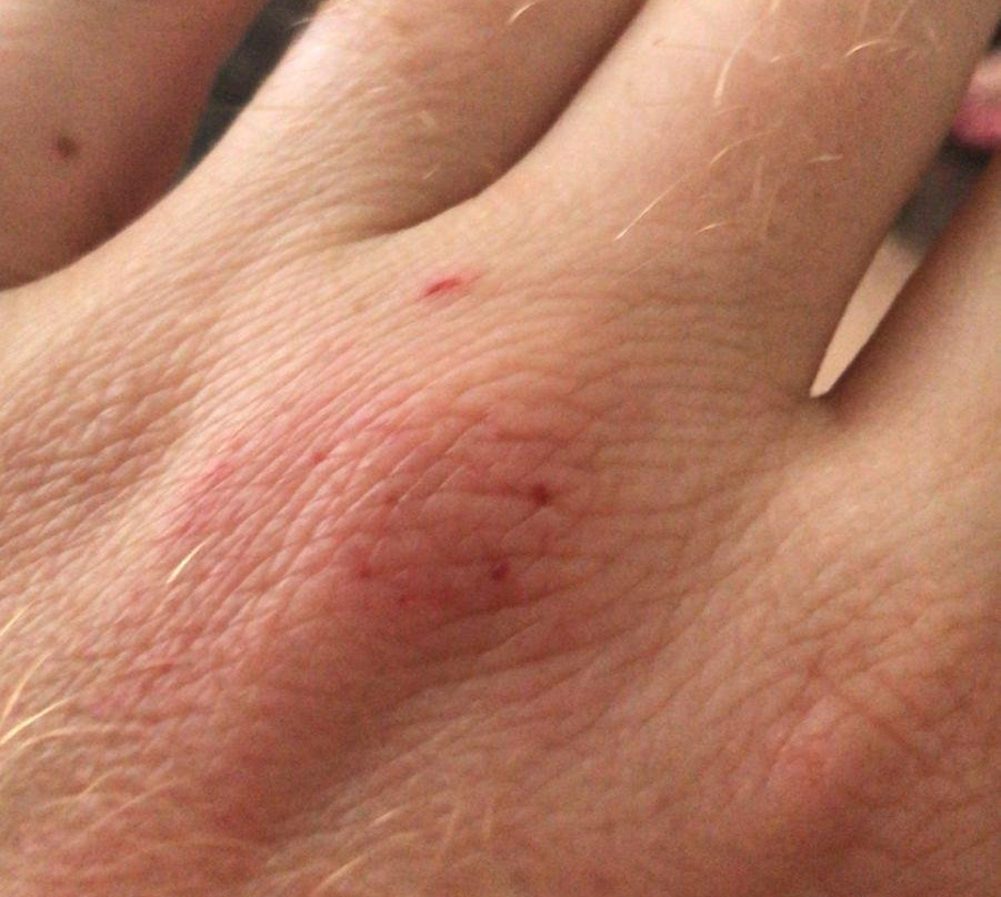 Paintball Taranto-塔兰托必去景点