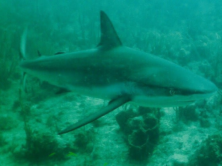 Great Escape Puerto Rico-吕康必去景点