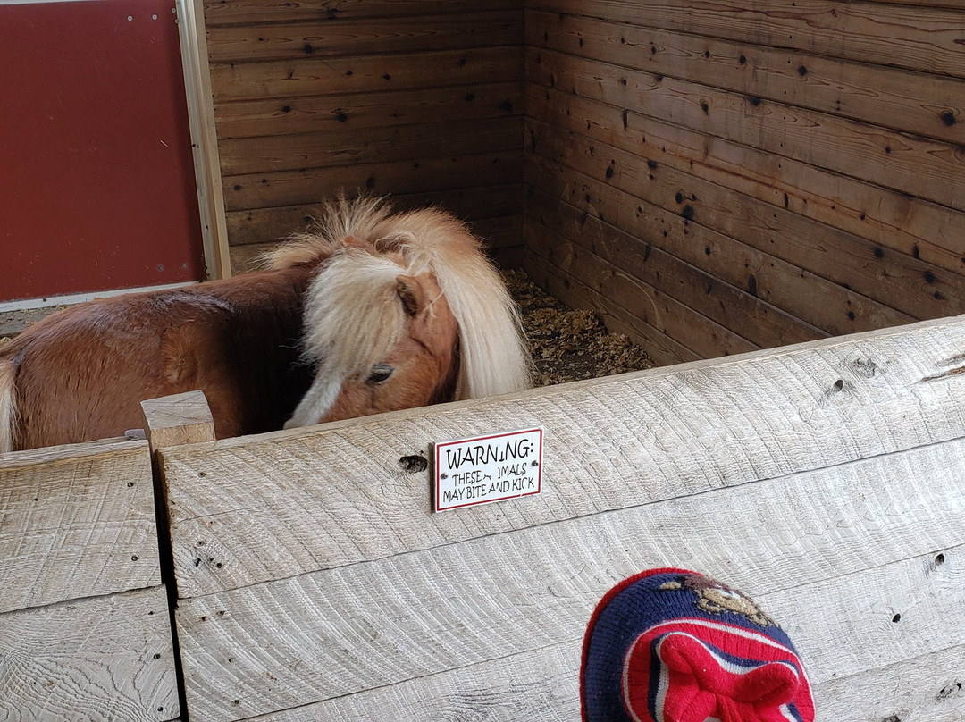 Columbian Park Zoo-拉斐特必去景点