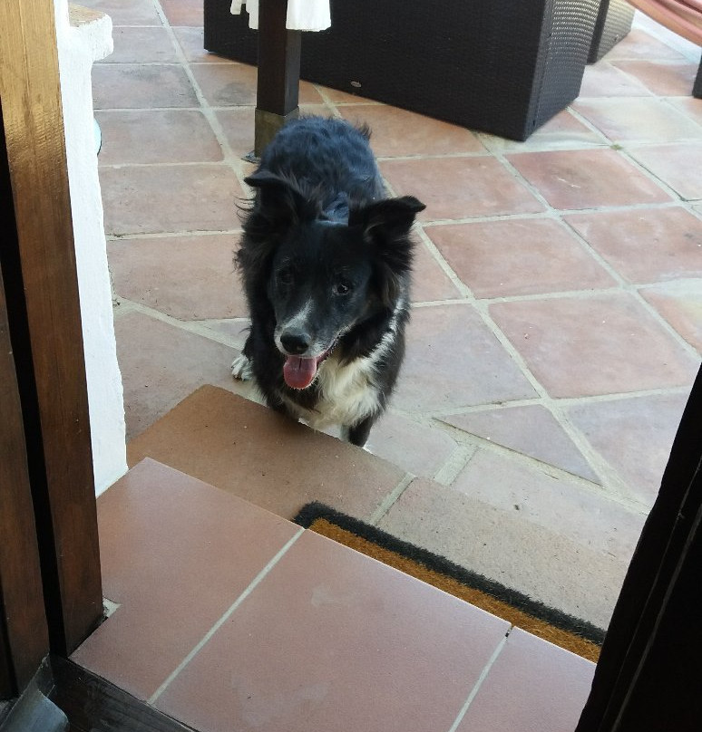 Casa Las Olivas主图