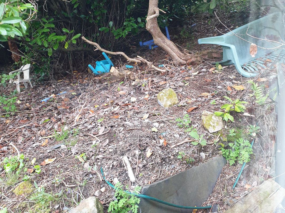 Elen's Castle Hotel主图