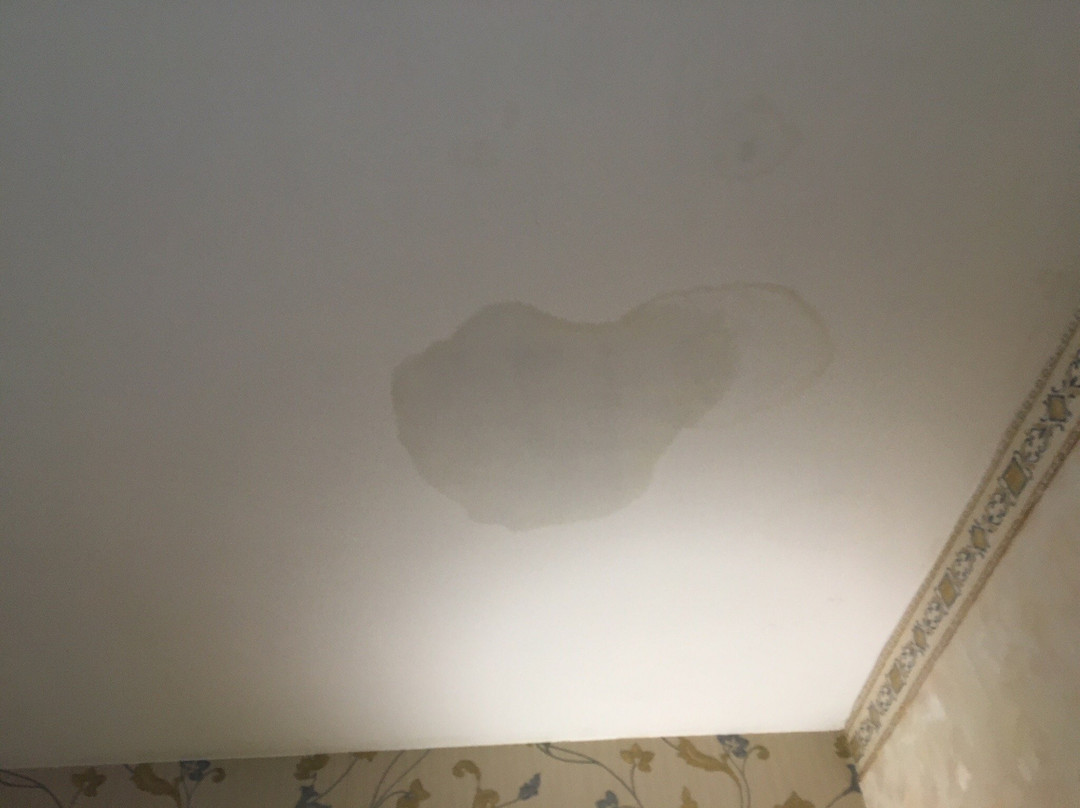 Roma Domus Hotel主图