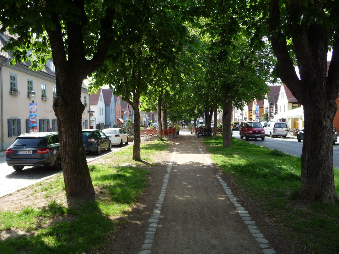 Altkötzschenbroda-Radebeul必去景点