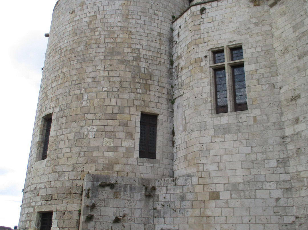 Château de Sully-sur-Loire-Sully-sur-Loire必去景点