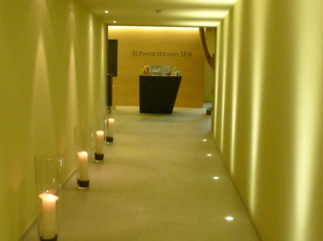 Aktiv und Wellness Resort Schwarzbrunn主图