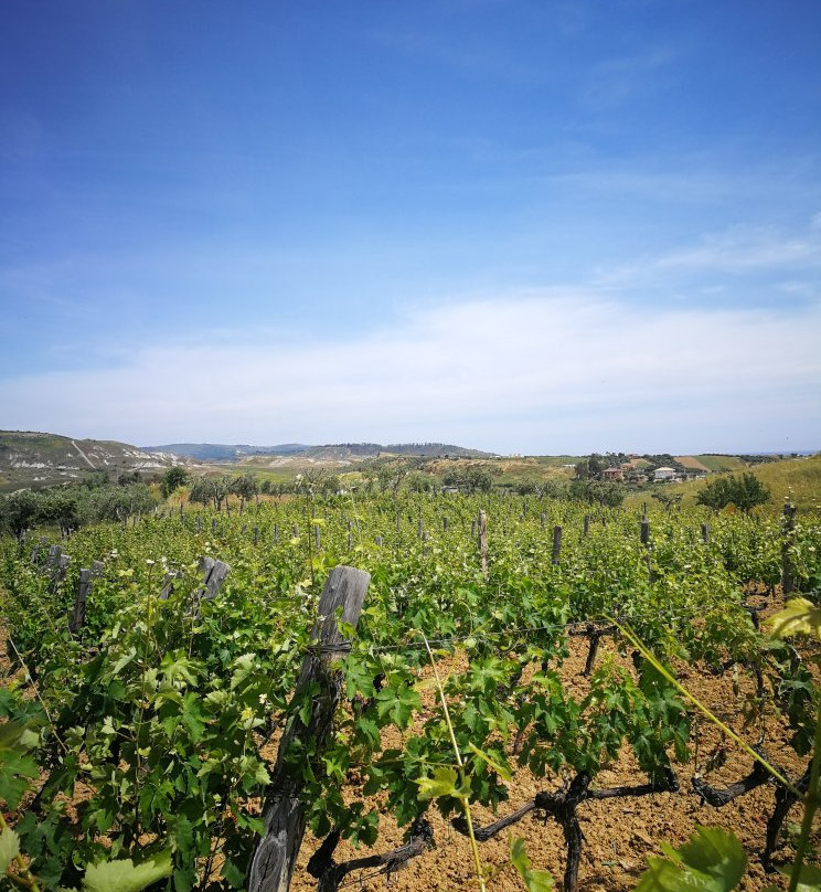 Strongoli旅游景点-Russo & Longo Azienda Agricola