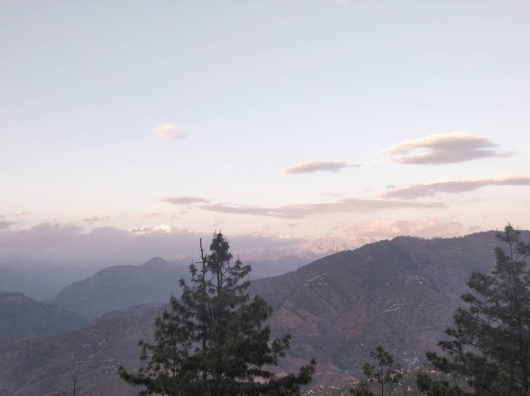 Deodar Cottage主图