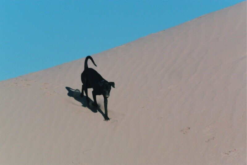 Dunas de Bilbao-Viesca必去景点