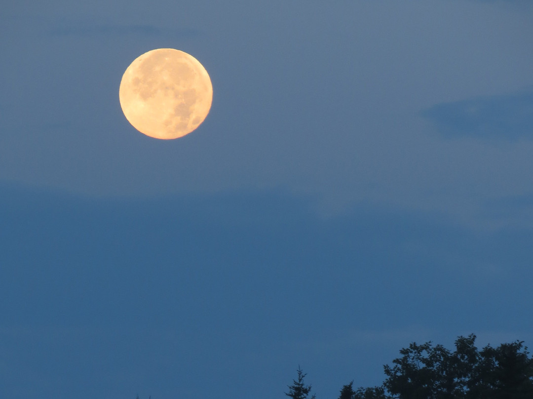Andrews Beach-Long Island必去景点