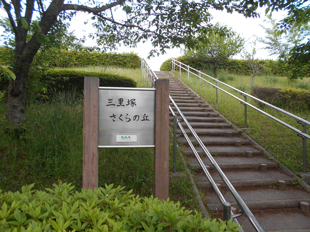 Sanrizuka Sakura no Oka-成田市必去景点