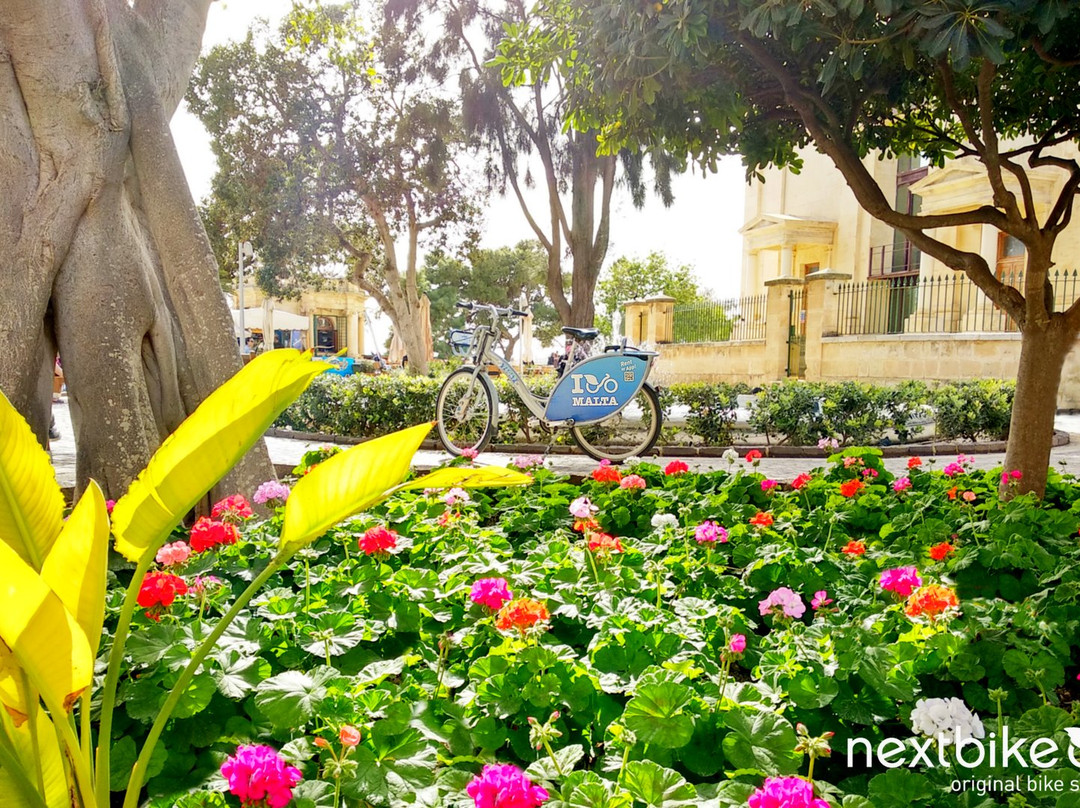 Nextbike Malta景点图片