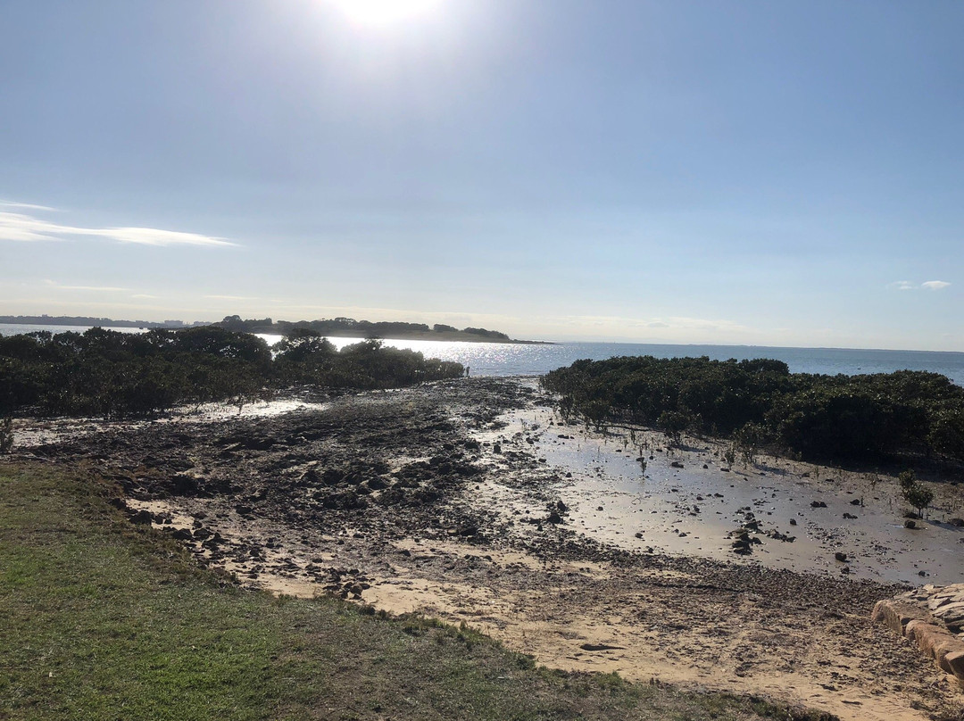 Jacks Beach Reserve景点图片