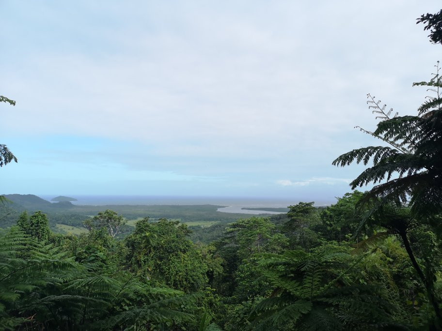 Jungle Tours And Trekking景点图片