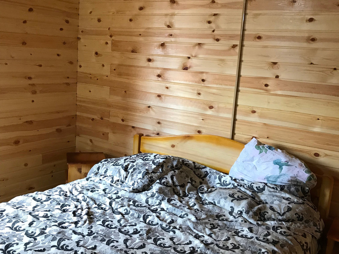 Mar'ina Roshcha主图