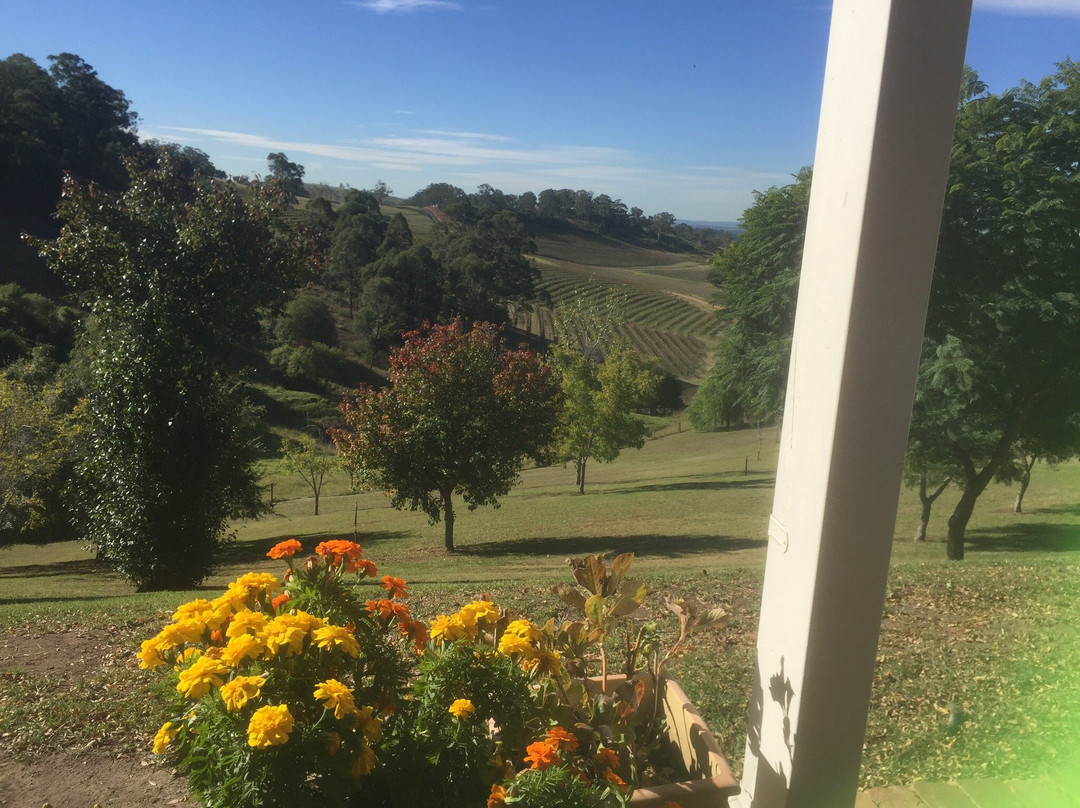 Cloud 9 Tours-悉尼必去景点