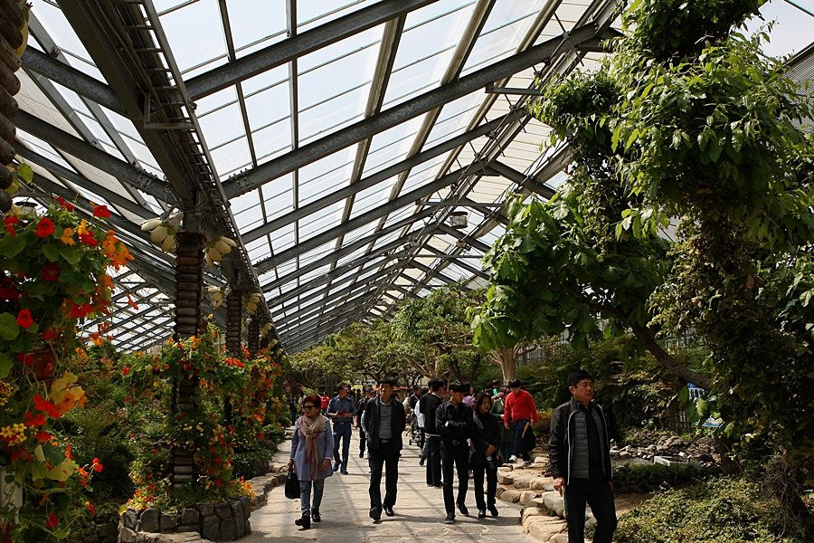 Hampyeong Expo Park - Natural Ecological Museum景点图片