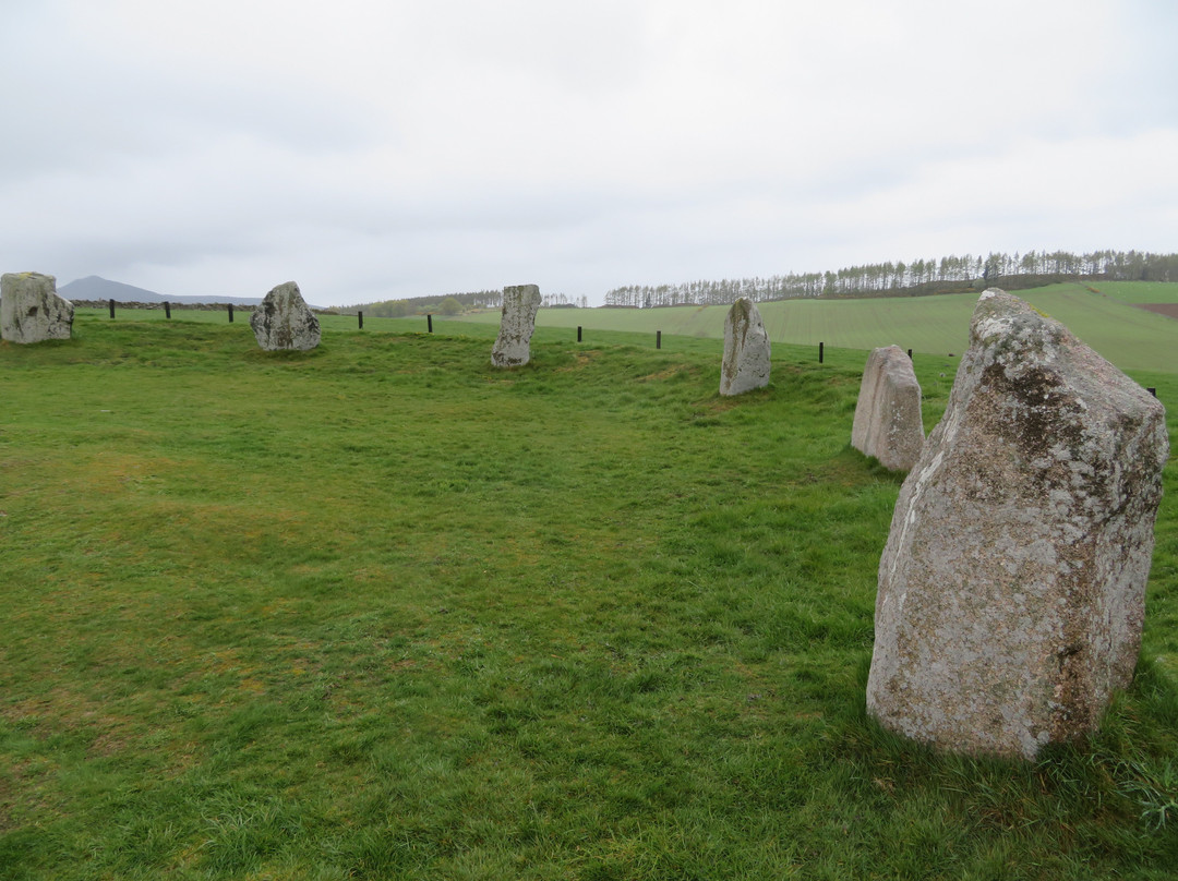 East Aquhorthies Stone Circle景点图片
