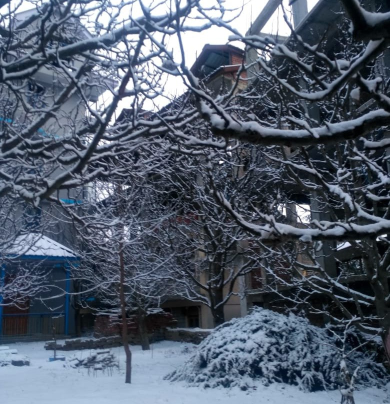 The Alpine Nest Hotel主图