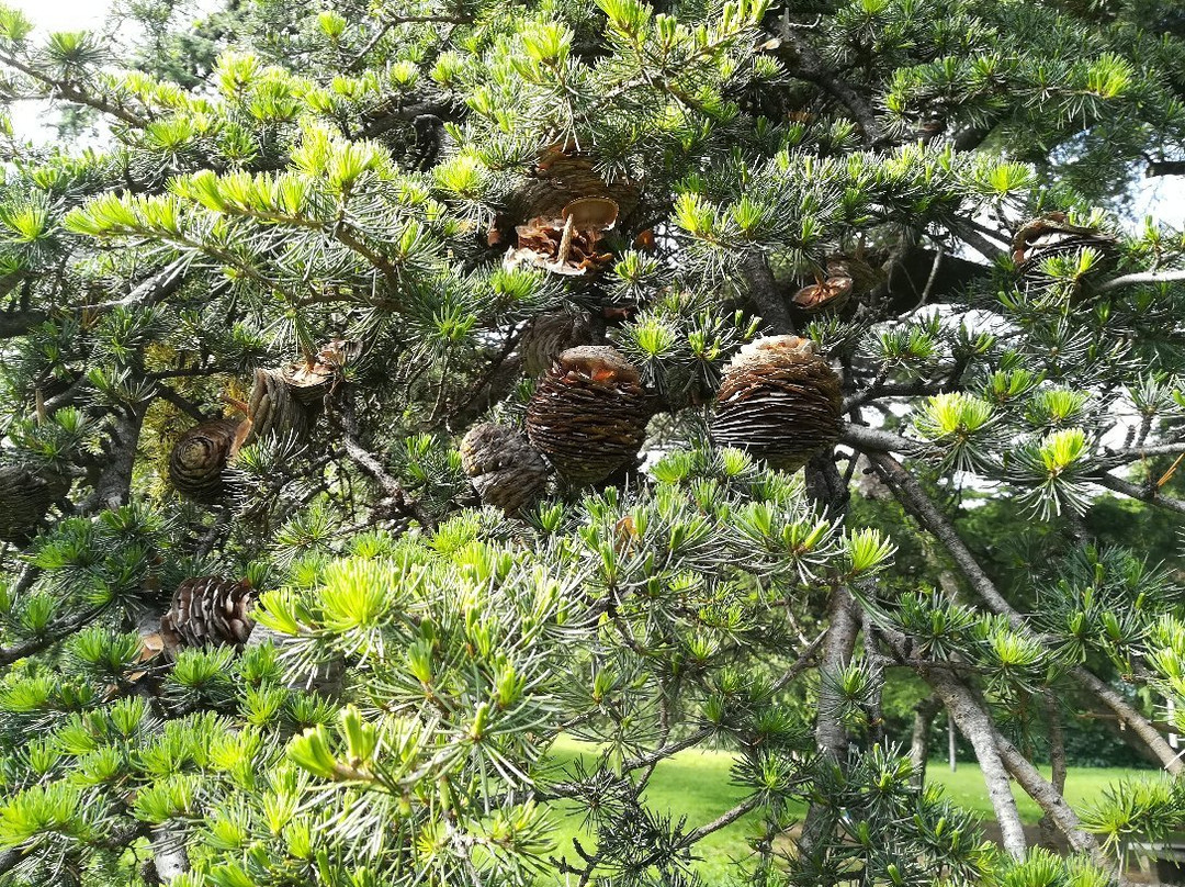 Giardino Botanico Colla-里沃利必去景点