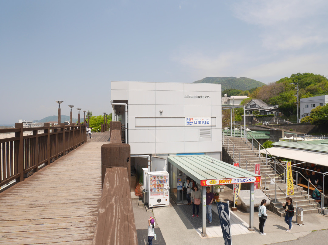 Futami Roadside Station & Futami Seaside Park-伊矛市必去景点